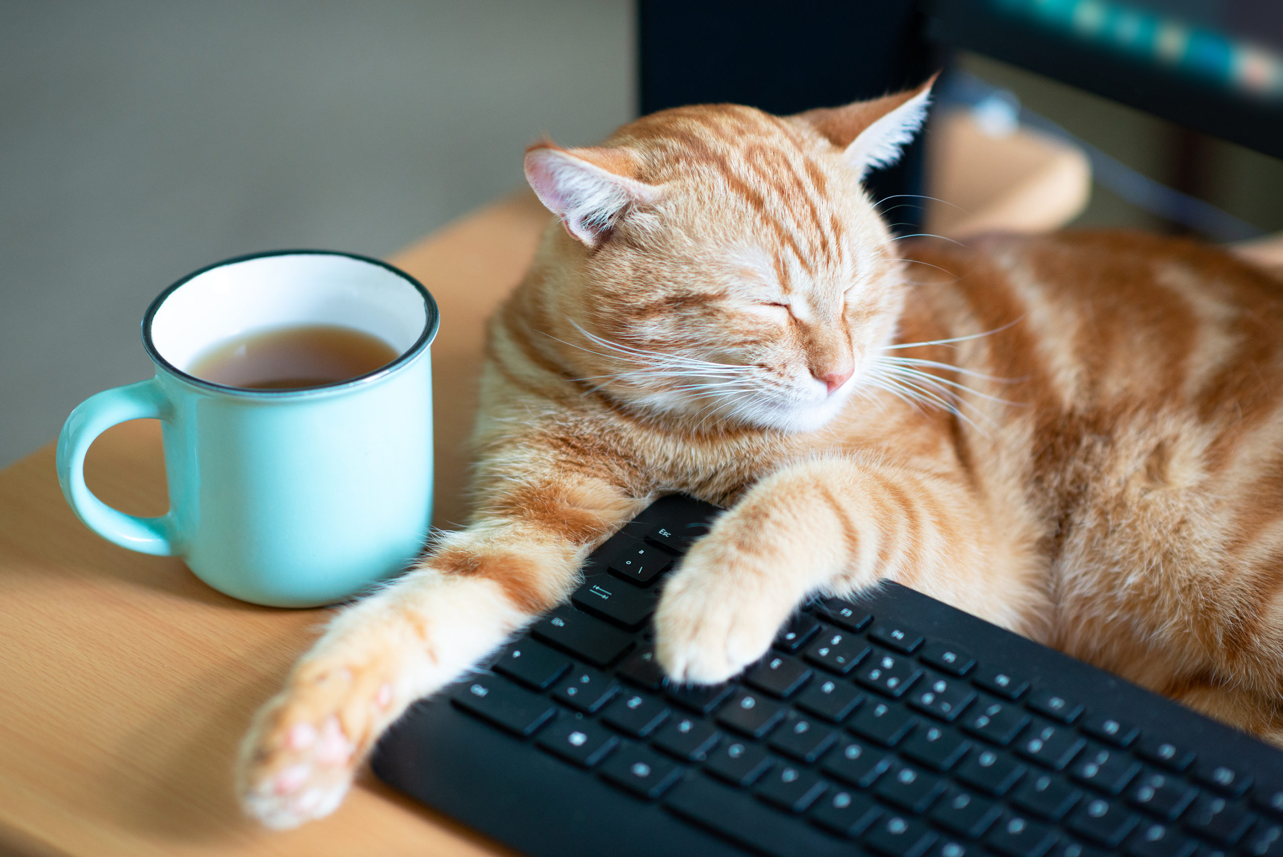 Remote Work