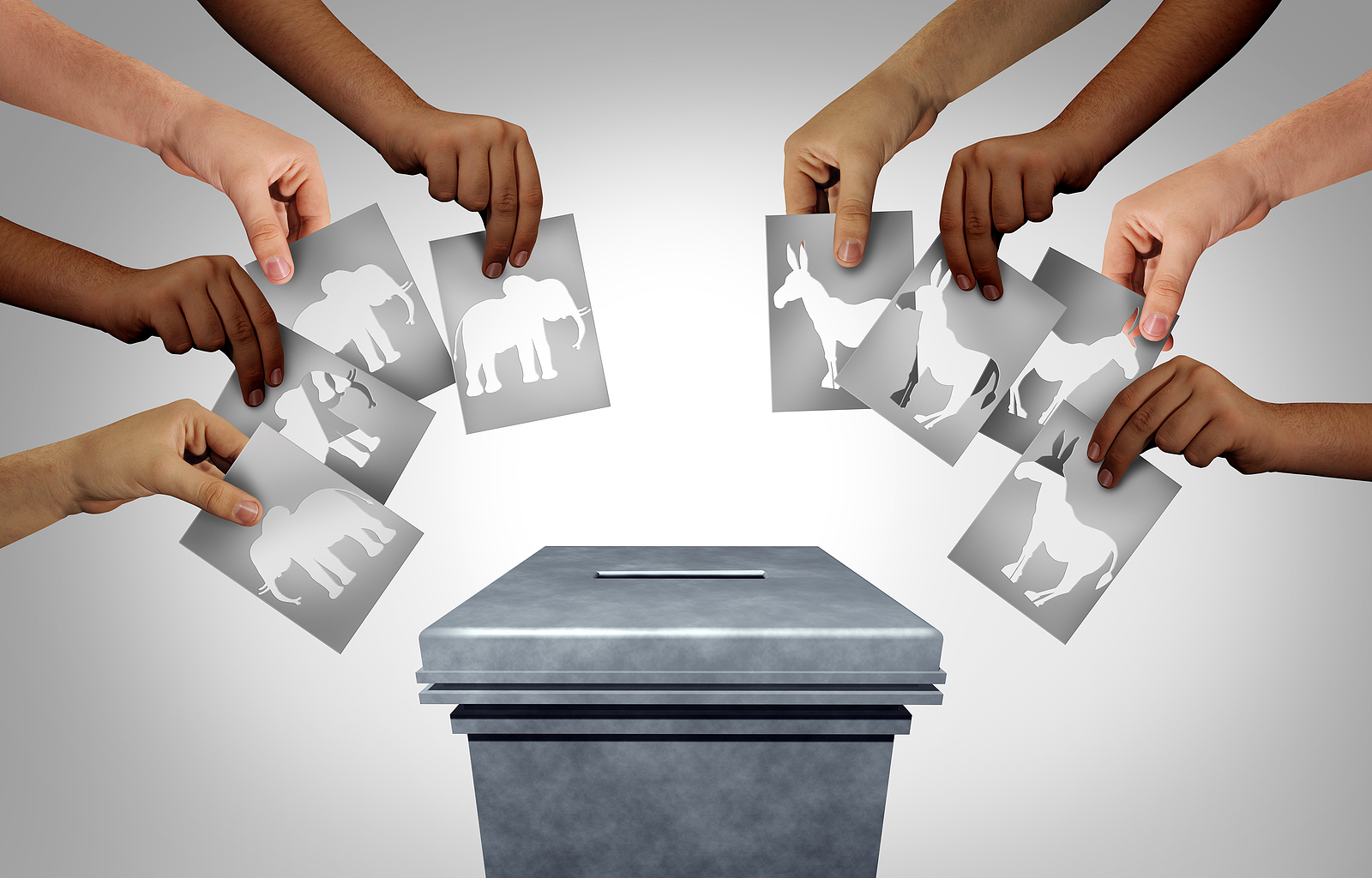 2020 Election