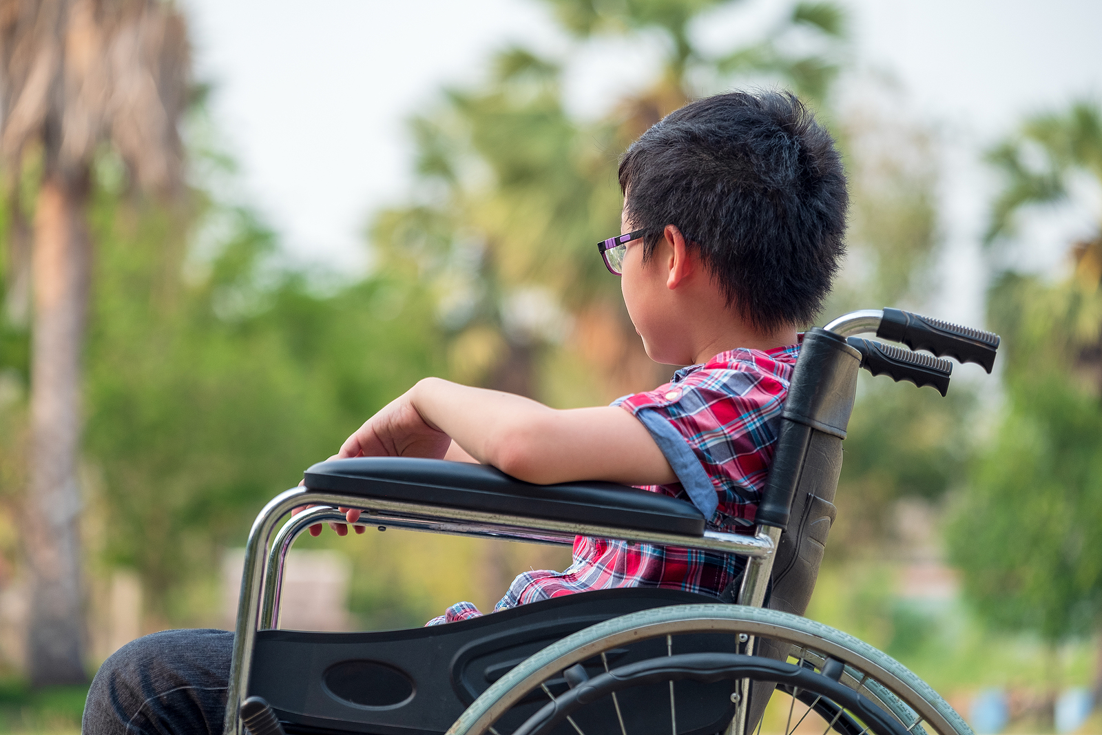 Disability
